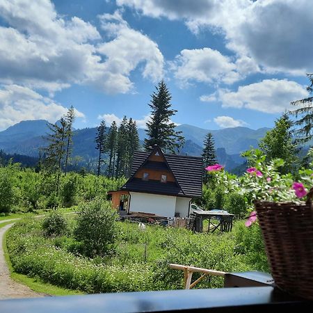 Goralska Chata Przy Dolinie Chocholowskiej Witow  Ngoại thất bức ảnh