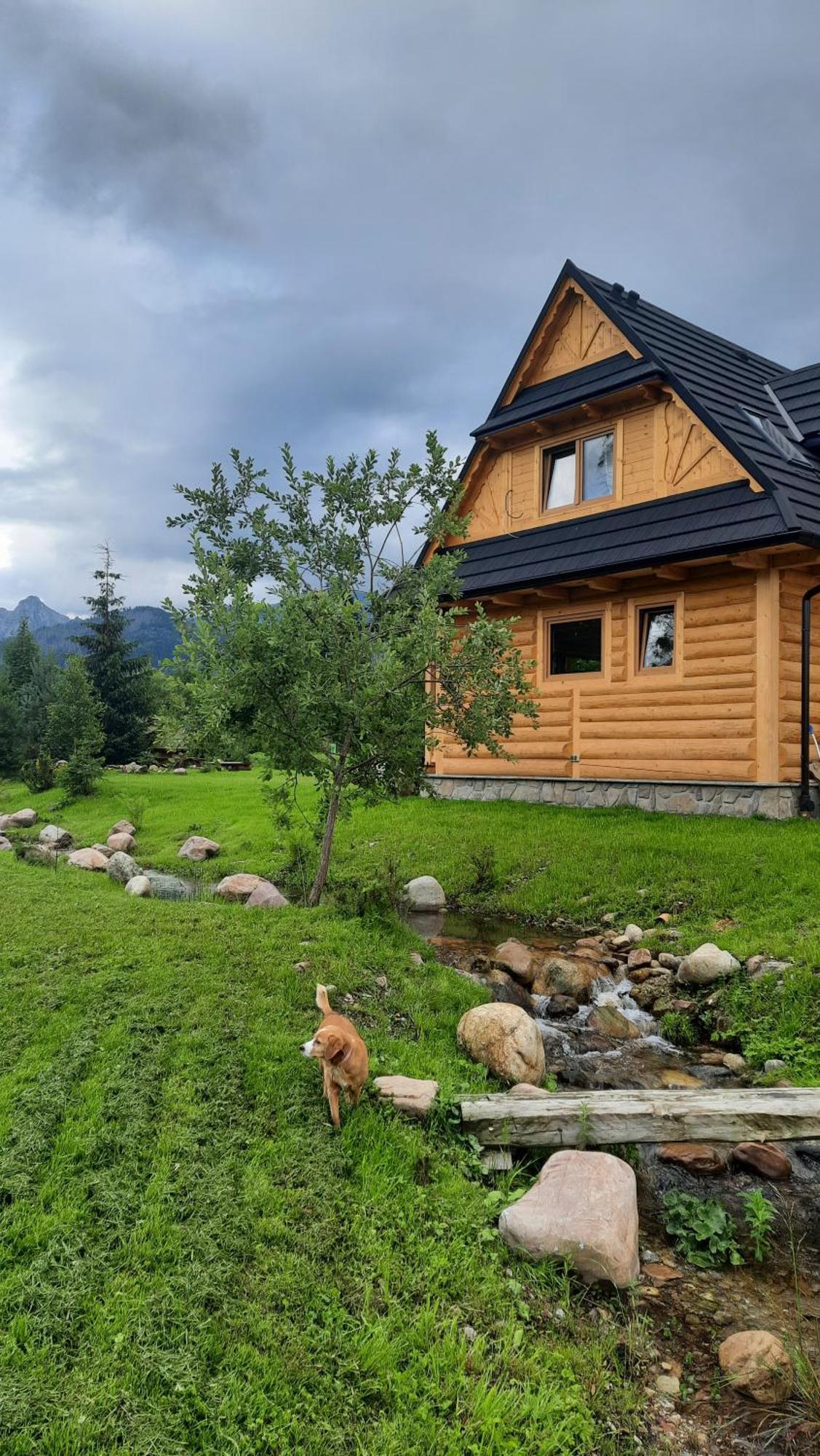 Goralska Chata Przy Dolinie Chocholowskiej Witow  Ngoại thất bức ảnh